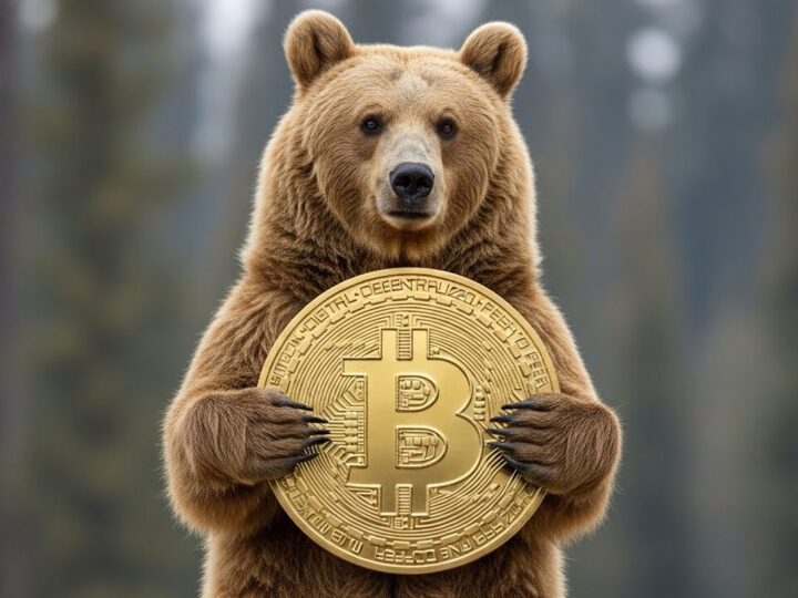 Próxima onda de alta do Bitcoin pode demorar?