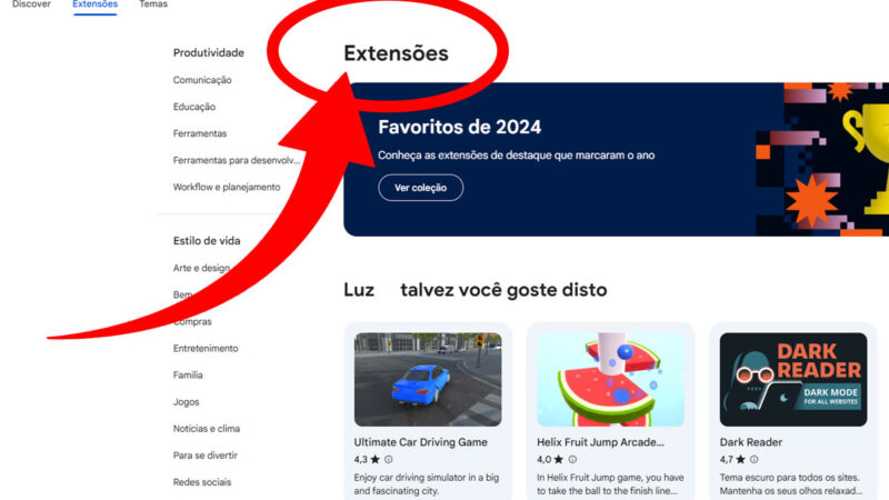 Privacidade e Segurança nos Navegadores Internet