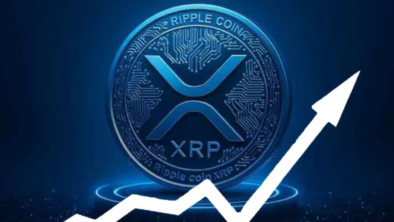 Valorização de 8% para XRP impulsionado por US$ 1,3 bilhão em compras de investidores
